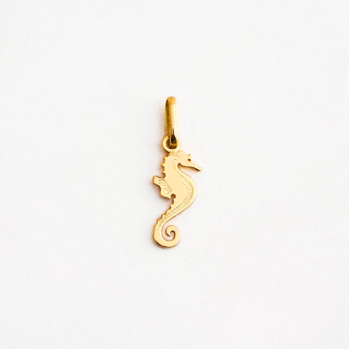 Dije Caballito de Mar en Oro 18K