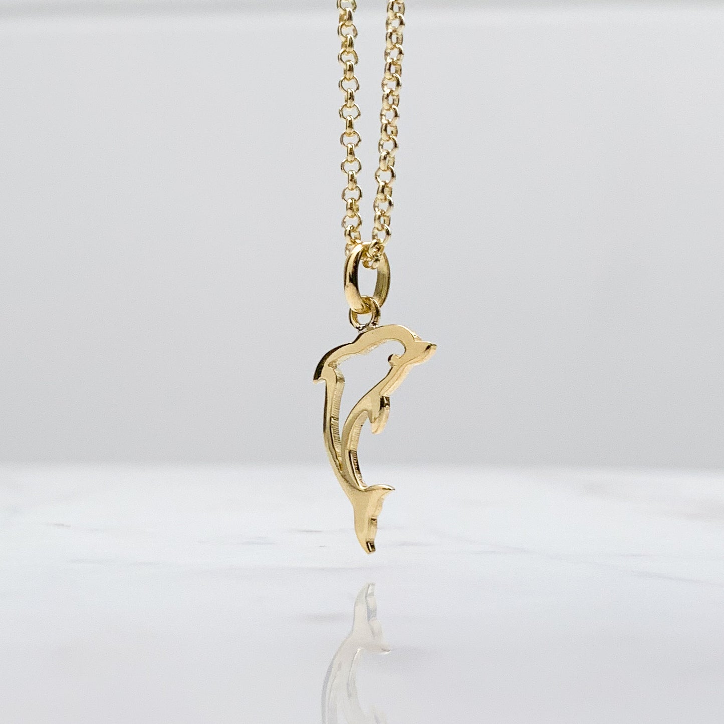 Dije de delfin en Oro18k