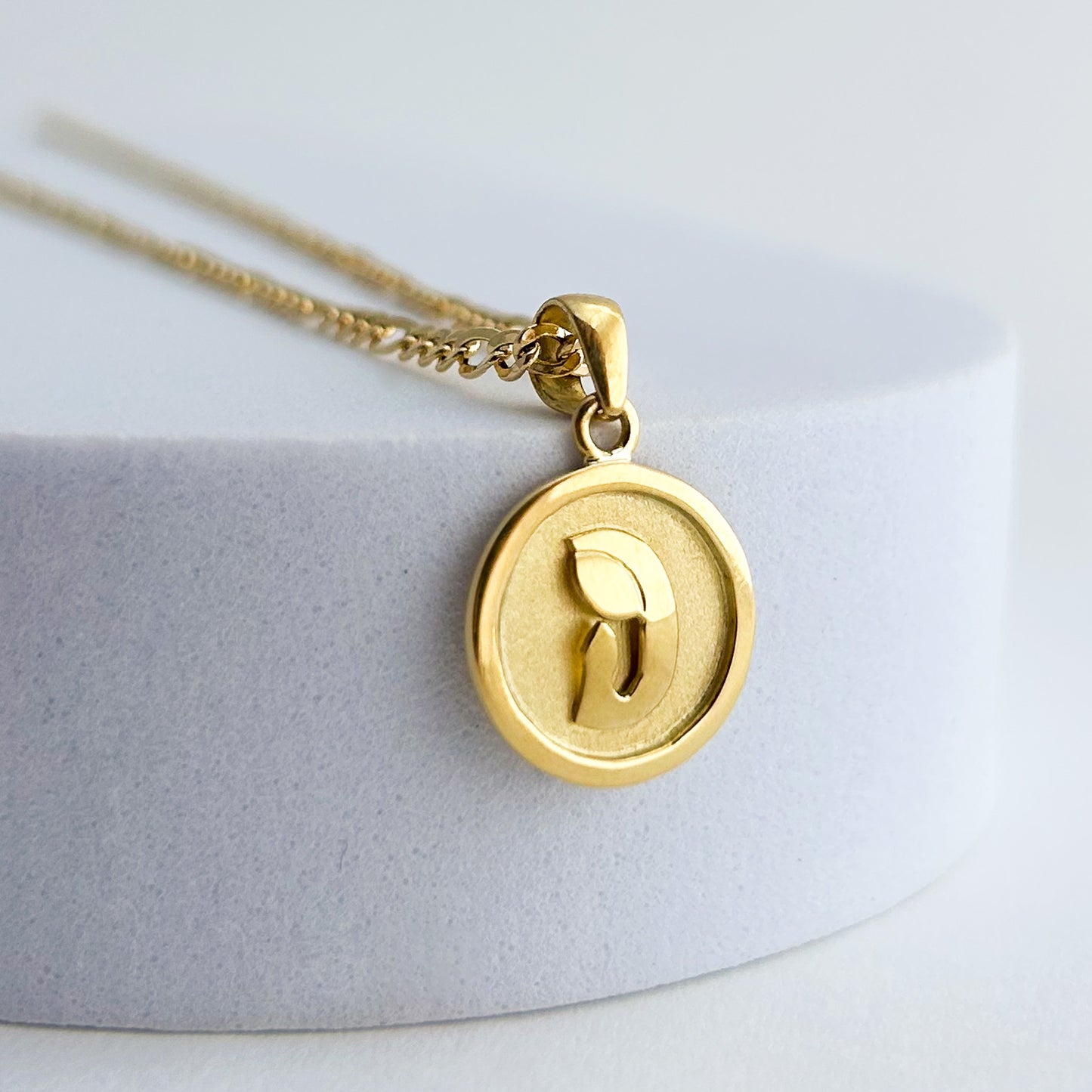 Dije de virgen en circulo Oro18k