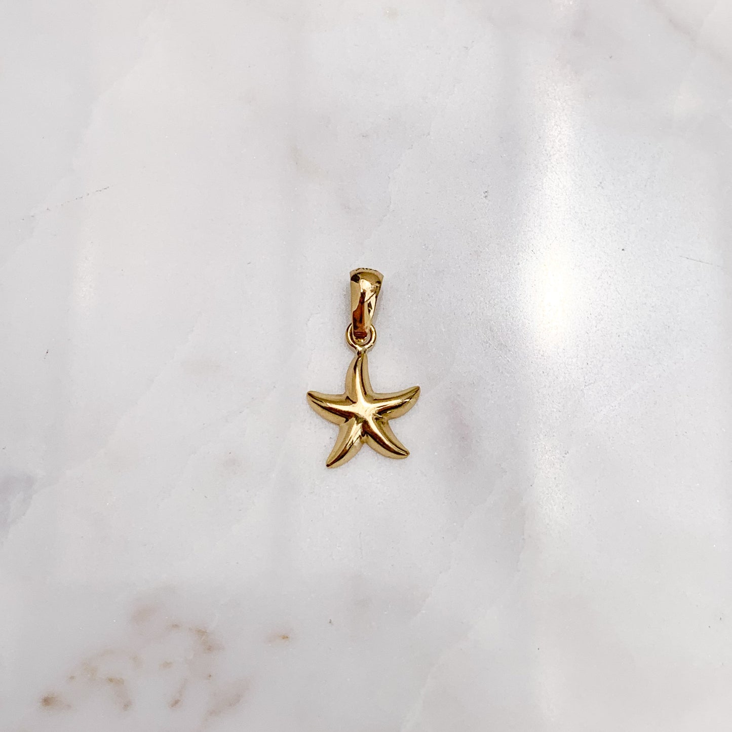 Dije Estrella de Mar Oro18k