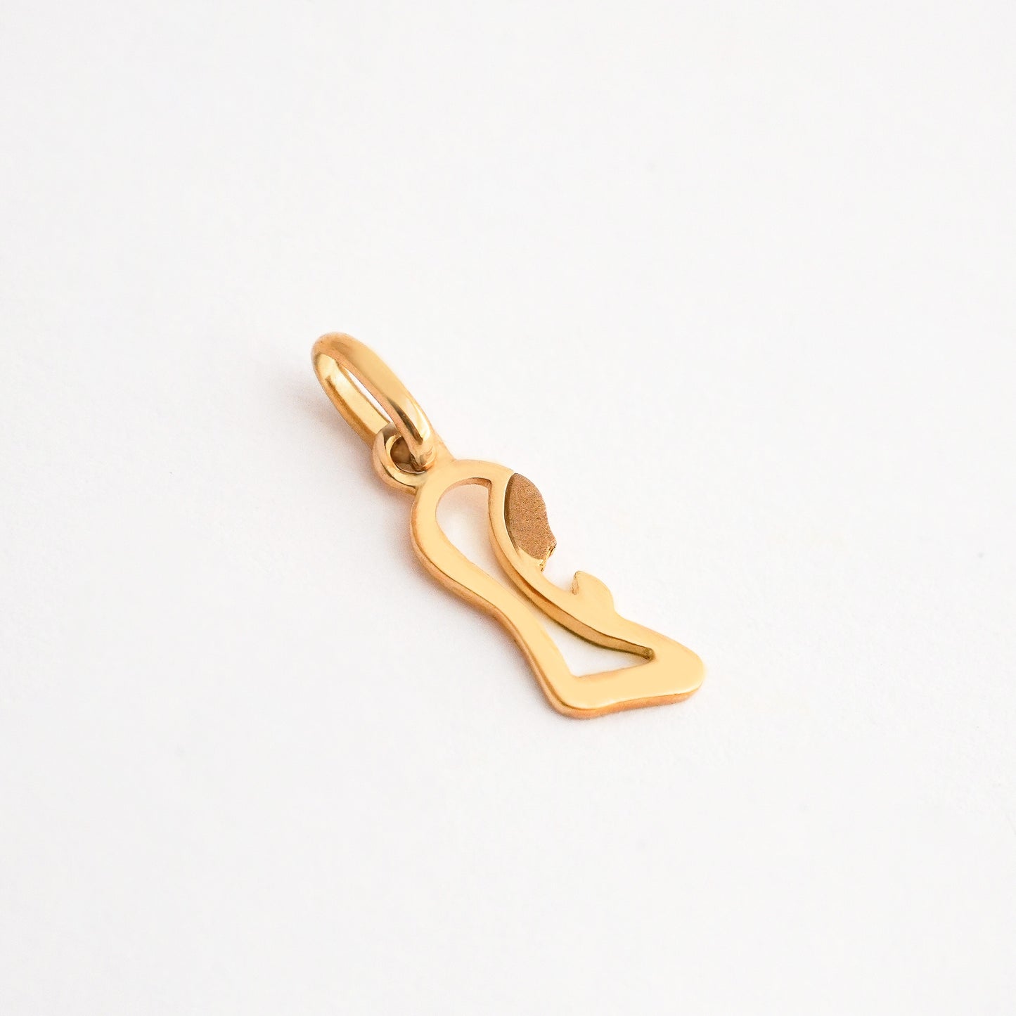Dije Virgencita Oro 18K