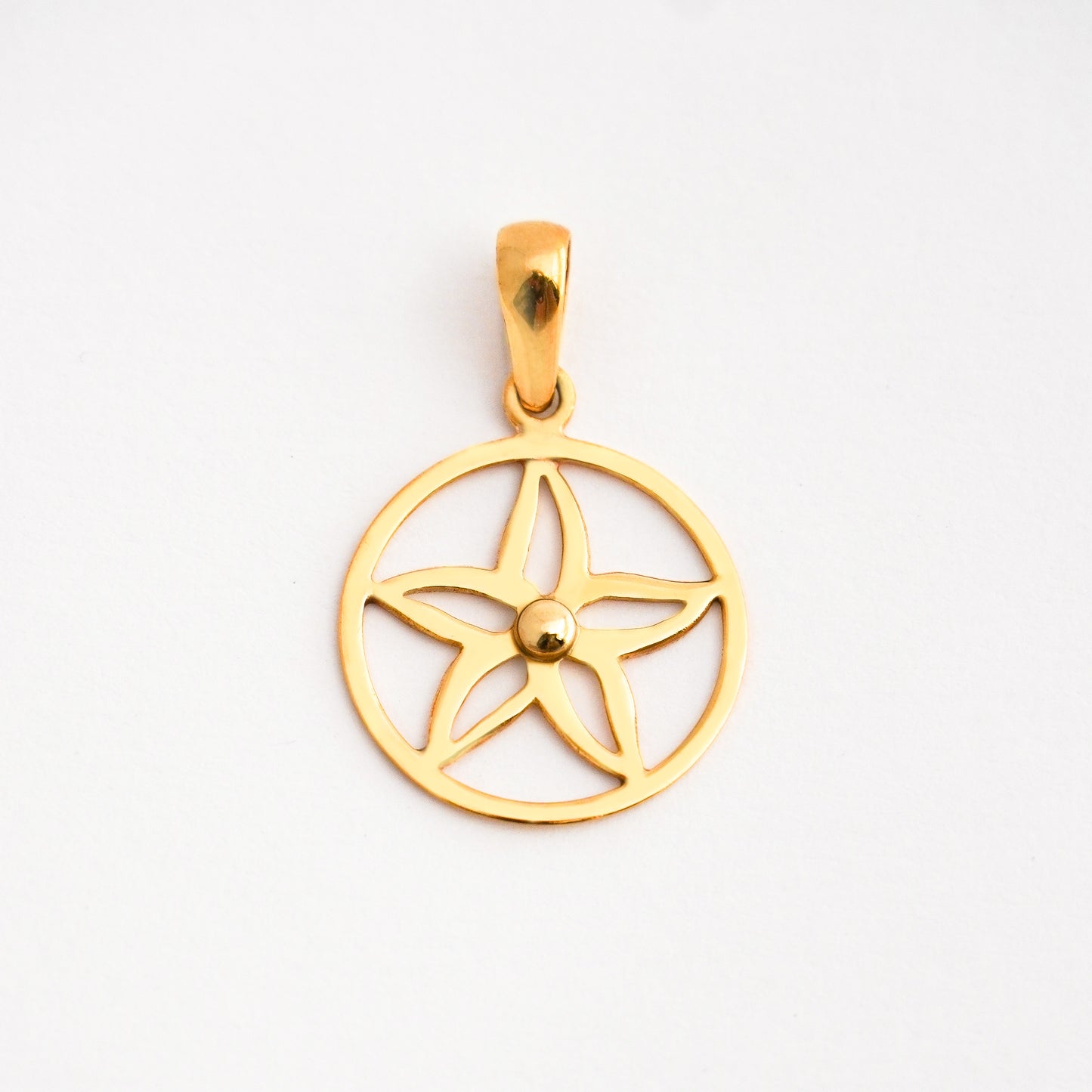 Dije Flor Círculo Oro 18K