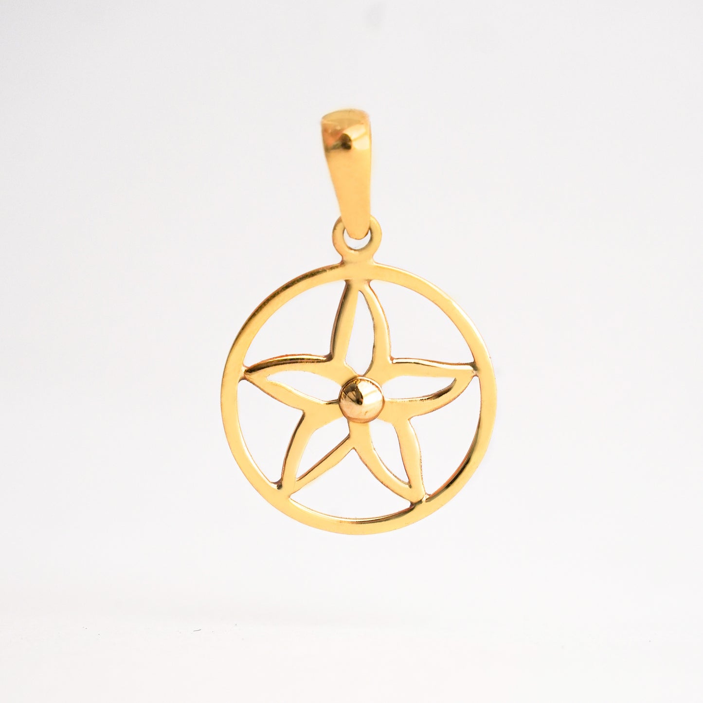 Dije Flor Círculo Oro 18K