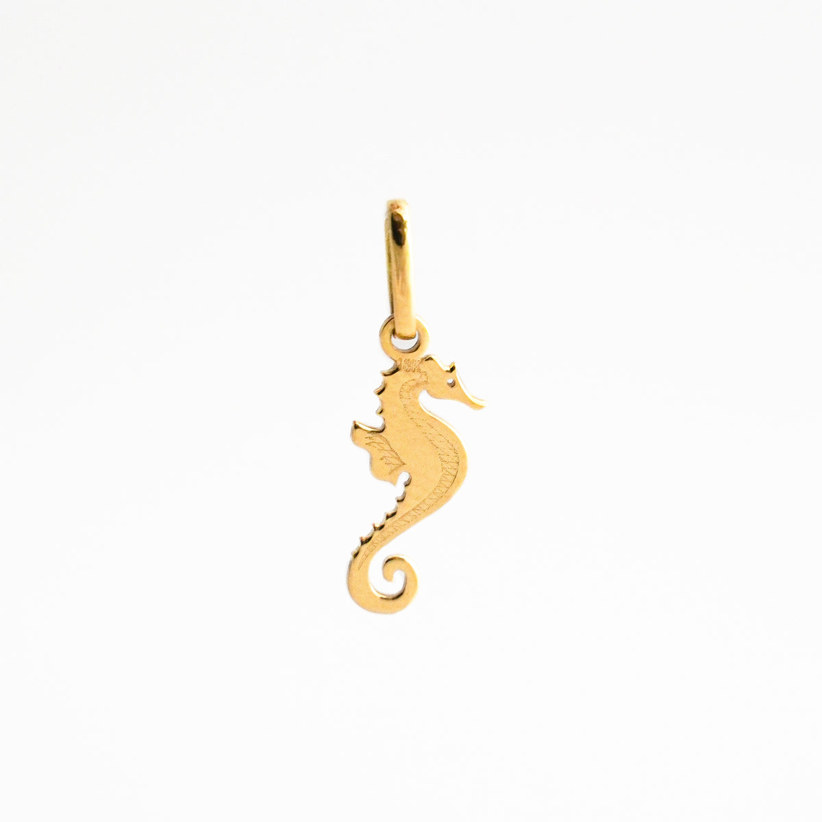 Dije Caballito de Mar en Oro 18K