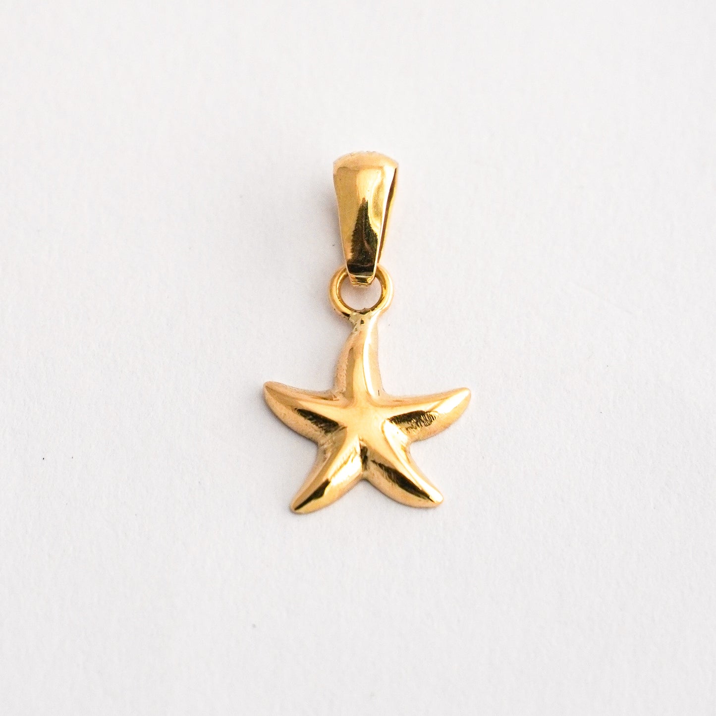 Dije Estrella de Mar Oro18k